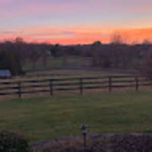 Meet your Posher, Tom